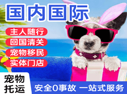 海口美兰机场空运国际宠物托运 【国